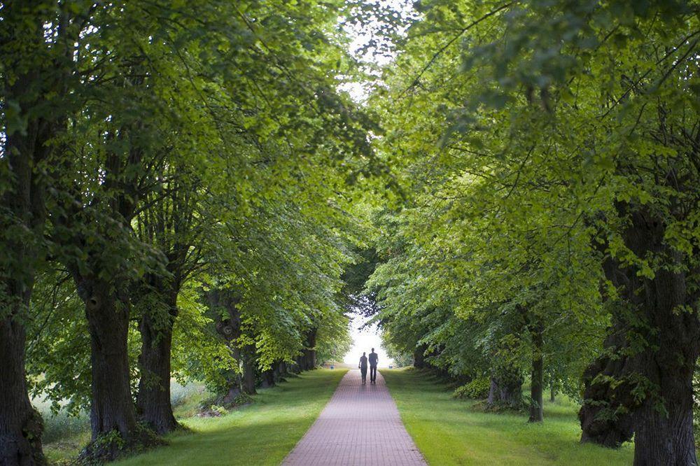 Schlossgut Гросс-Шванзе Экстерьер фото The avenue of lime trees
