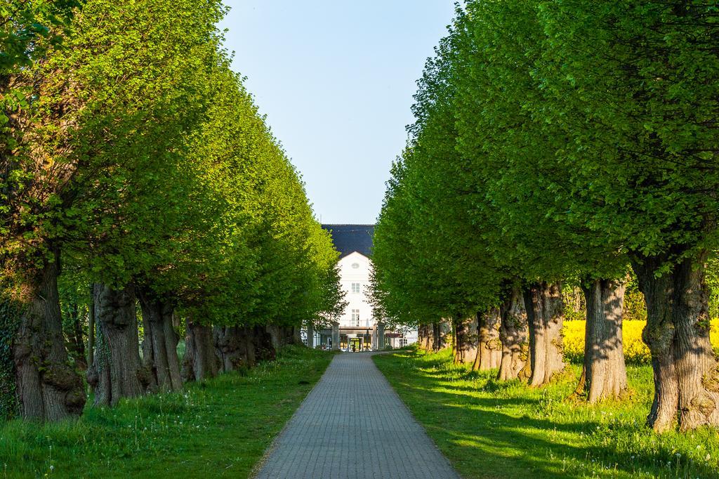 Schlossgut Гросс-Шванзе Экстерьер фото The linden tree avenue